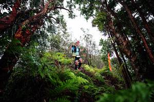 BIB: 
                            <button type="button" onclick="openModal(26204086)" class="btn btn-primary btn-sm float-right btn-popup" data-toggle="modal" data-target=".modal-high-quality">
                        <i class="fas fa-shopping-cart"></i> Add to Cart
                    </button>
                                            <button type="button" onclick="isThisMe(26204086, true)" class="btn btn-success btn-sm float-right btn-popup btn-isme hidden" data-toggle="tooltip" data-placement="bottom" title="นี่คือรูปของคุณใช่ไหม คลิกที่นี่เพื่อเอาเข้าอัลบั้ม">
                        <i class="fas fa-plus"></i> Add to album
                    </button>
                    <button type="button" onclick="isThisMe(26204086, false)" class="btn btn-warning btn-sm float-right btn-popup btn-isnotme hidden">
                        <i class="fas fa-ban"></i> Remove from album
                    </button>